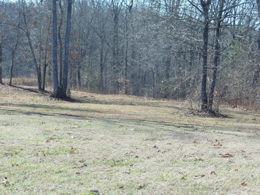 140 Quail Hollow Cove Spring City TN 37381