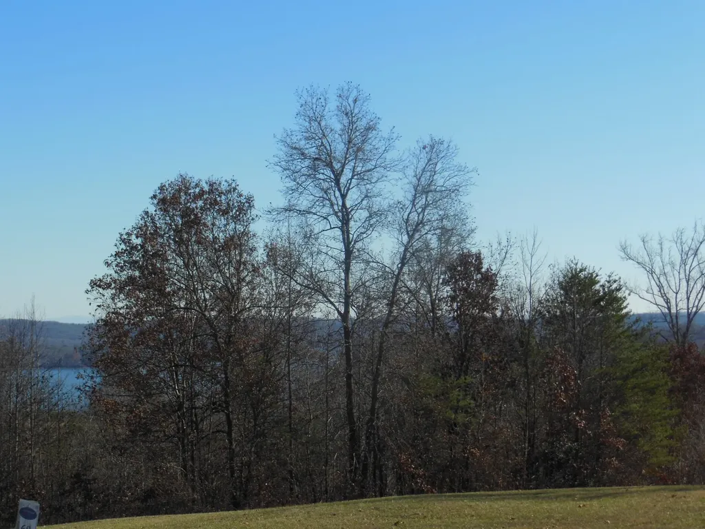 140 Quail Hollow Cove Spring City TN 37381