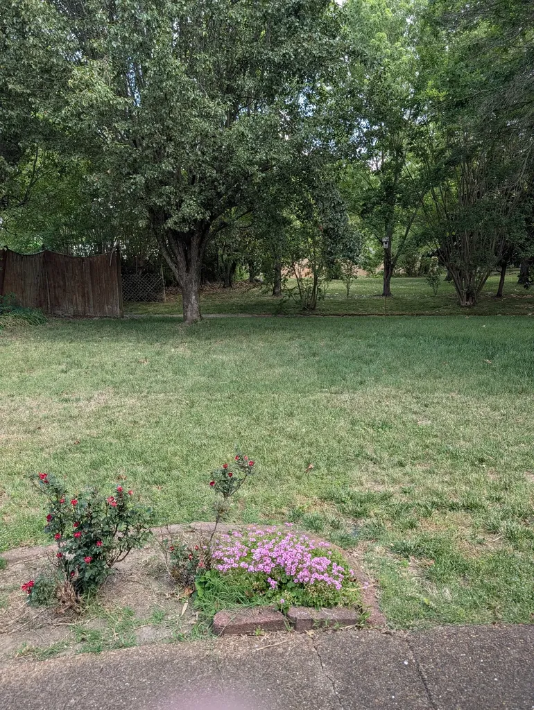 1401 Joe Pyron Drive Madison TN 37115