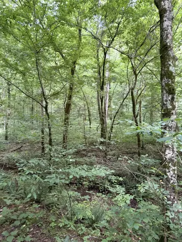 0 Kelso Smithland Road Kelso TN 37348