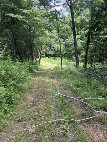 0 Kelso Smithland Road Kelso TN 37348