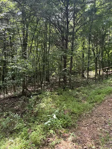 0 Kelso Smithland Road Kelso TN 37348