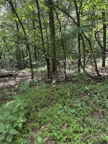 0 Kelso Smithland Road Kelso TN 37348