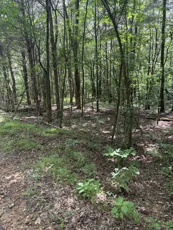 0 Kelso Smithland Road Kelso TN 37348