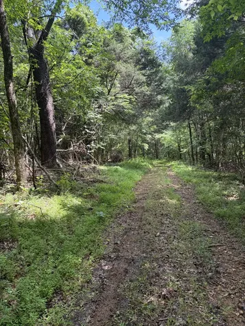 0 Kelso Smithland Road Kelso TN 37348