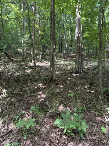 0 Kelso Smithland Road Kelso TN 37348