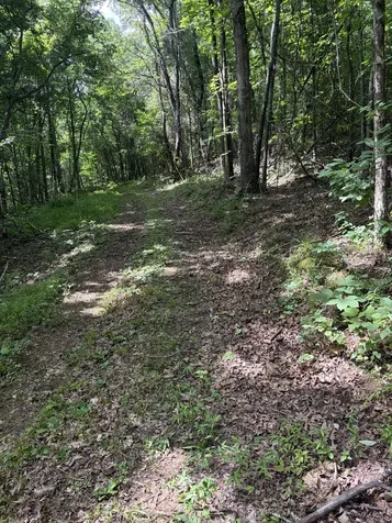 0 Kelso Smithland Road Kelso TN 37348