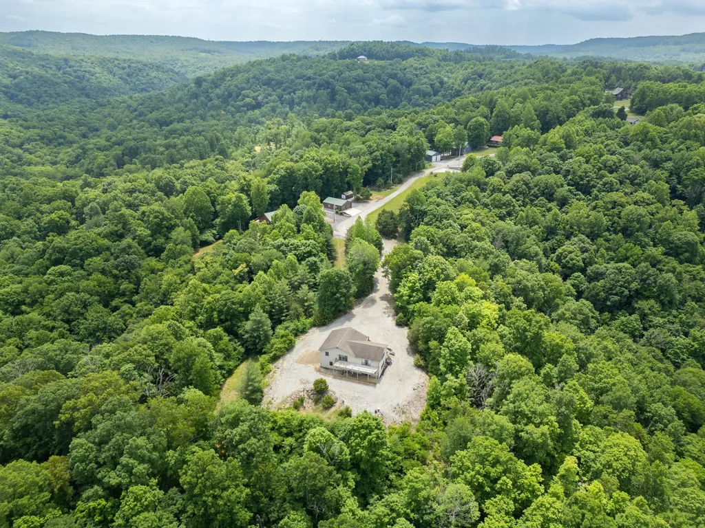 241 Hidden Cove Lane Allons TN 38541
