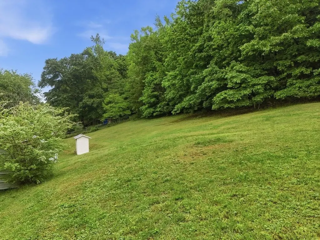5780 Toestring Valley Road Spring City TN 37381