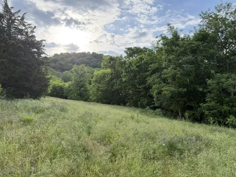 328 Young Branch Road Dixon Springs TN 37057