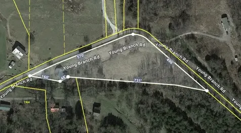 328 Young Branch Road Dixon Springs TN 37057