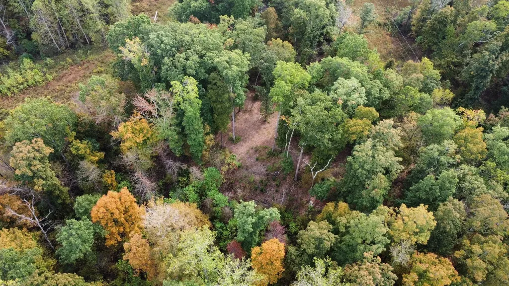 646 Brush Creek Road Lawrenceburg TN 38464
