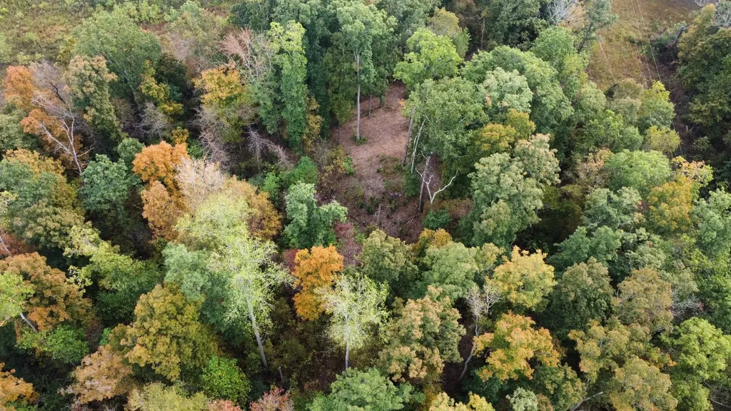 646 Brush Creek Road Lawrenceburg TN 38464