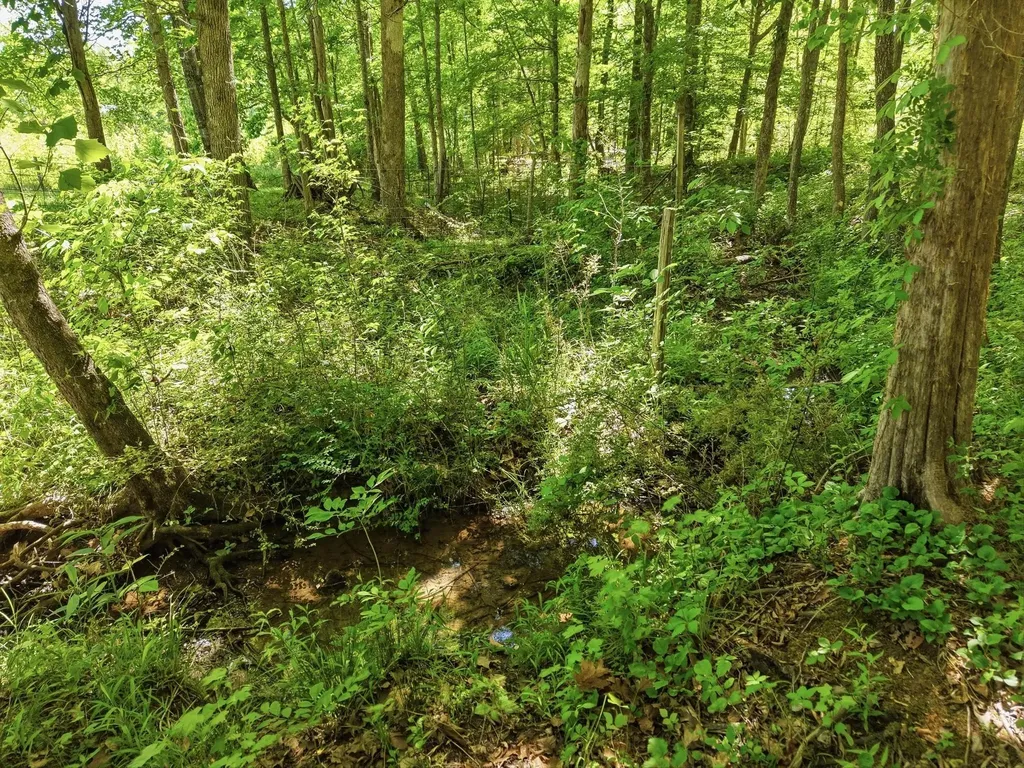 6 Falling Water Road Cookeville TN 38506