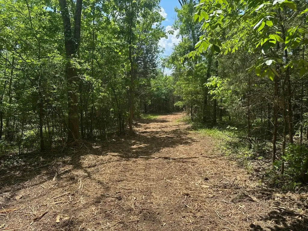 10515 Paw Paw Springs Road Arrington TN 37014
