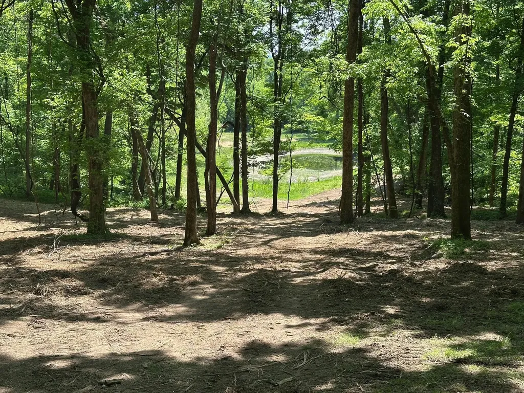 10515 Paw Paw Springs Road Arrington TN 37014