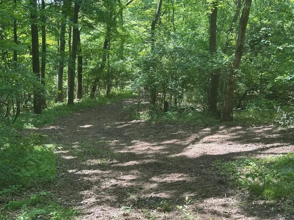 10515 Paw Paw Springs Road Arrington TN 37014