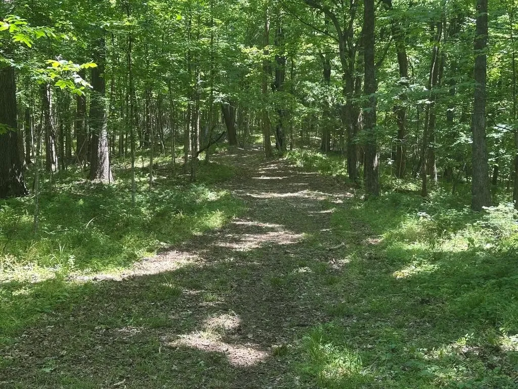 10515 Paw Paw Springs Road Arrington TN 37014