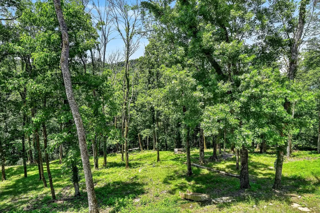 193 Wilson Circle Smithville TN 37166