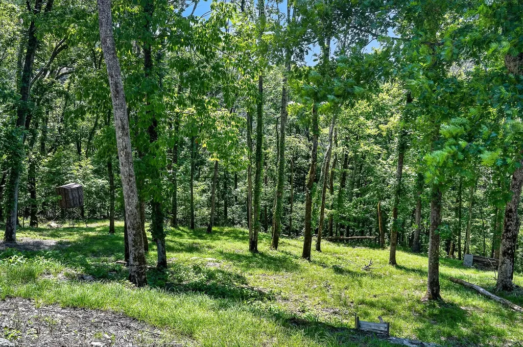 193 Wilson Circle Smithville TN 37166