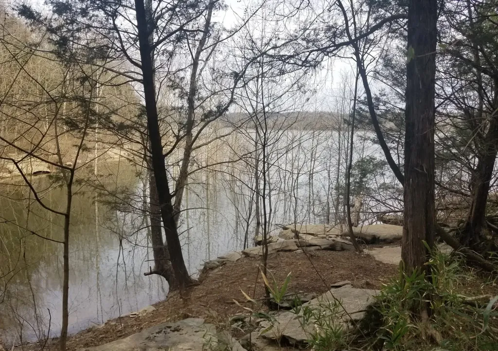 193 Wilson Circle Smithville TN 37166