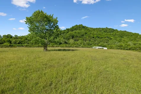 97 Seabo Valley Lane Hickman TN 38567