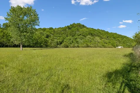 97 Seabo Valley Lane Hickman TN 38567