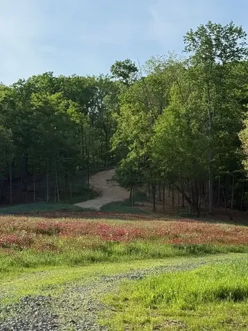 5284 Poor House Hollow Road Franklin TN 37064
