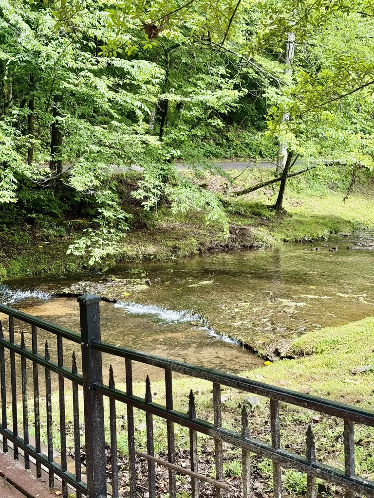 230 Raven Bluff Road Lawrenceburg TN 38464