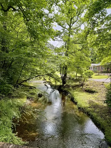 230 Raven Bluff Road Lawrenceburg TN 38464