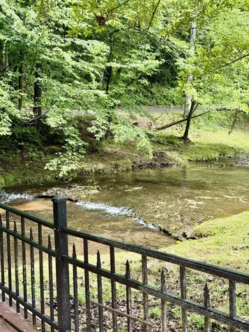 230 Raven Bluff Road Lawrenceburg TN 38464