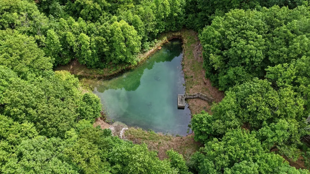 705 N Campbell Road Altamont TN 37301