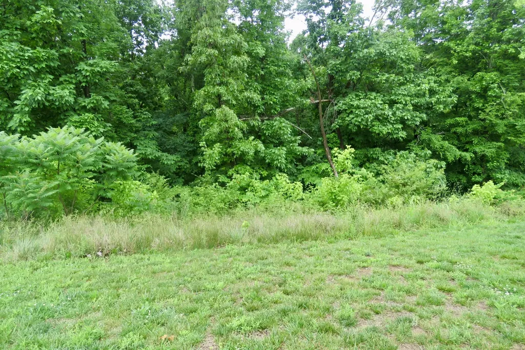 340 Hemlock Circle Cookeville TN 38501