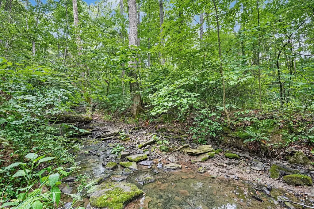 5833 Highway 76, E Springfield TN 37172