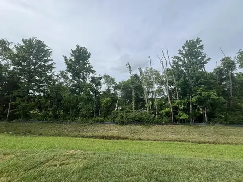 4154 Dream Beetle Loop Rockvale TN 37153