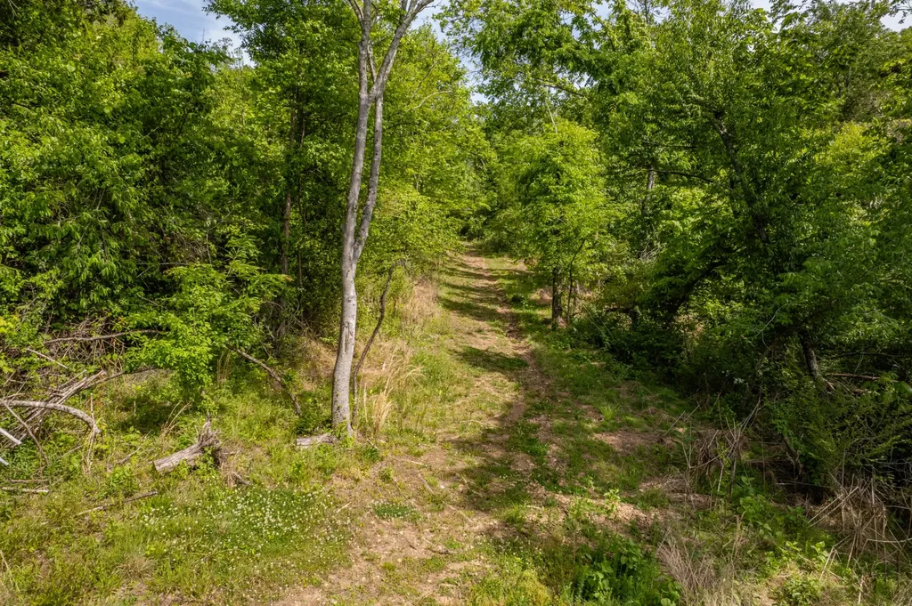 1 Old Highway 99 Columbia TN 38401