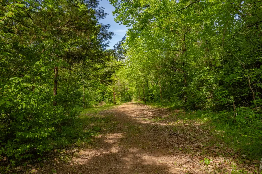 1 Old Highway 99 Columbia TN 38401