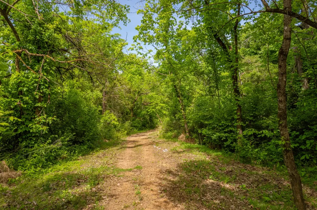 1 Old Highway 99 Columbia TN 38401
