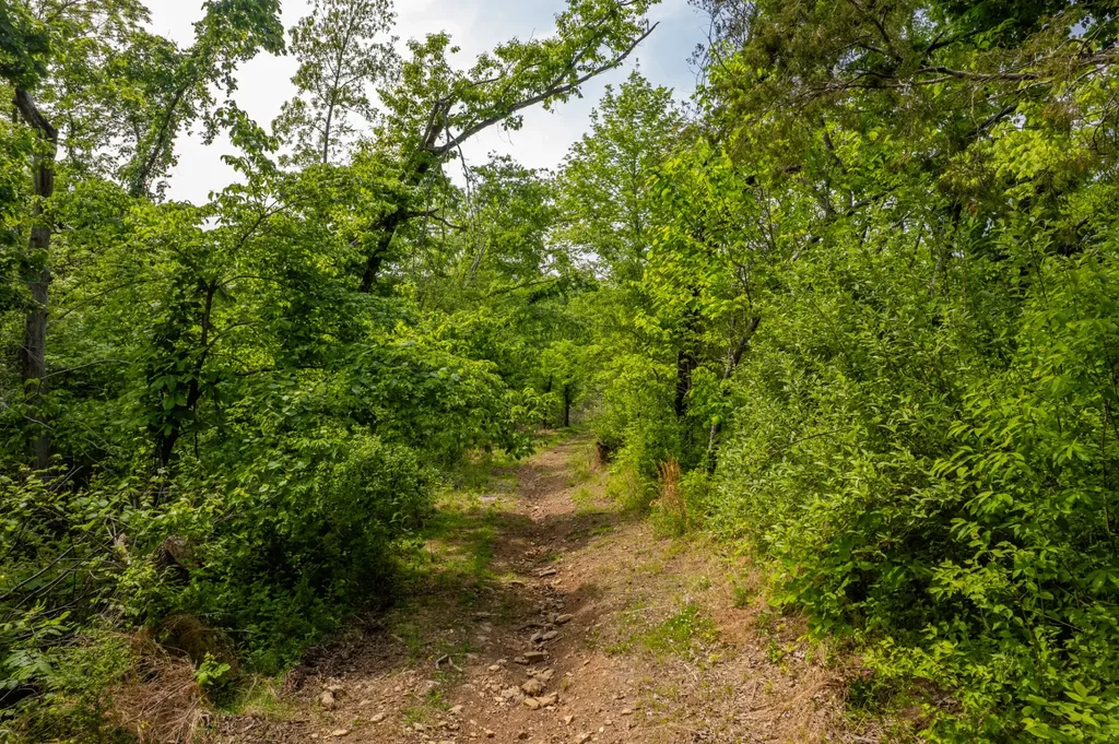 1 Old Highway 99 Columbia TN 38401