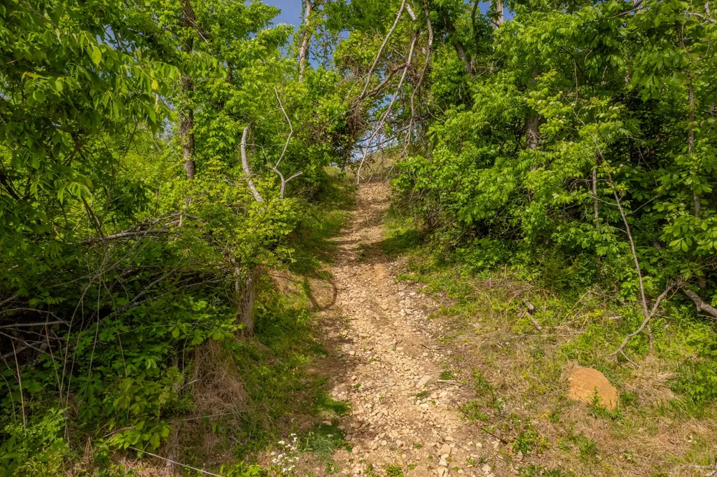 1 Old Highway 99 Columbia TN 38401