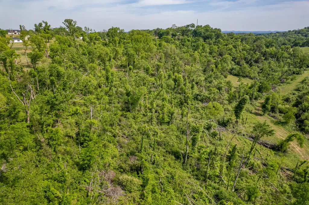 1 Old Highway 99 Columbia TN 38401