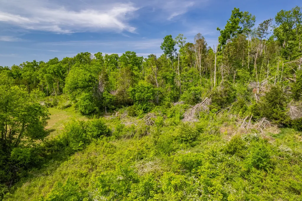1 Old Highway 99 Columbia TN 38401