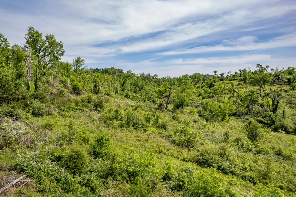 1 Old Highway 99 Columbia TN 38401