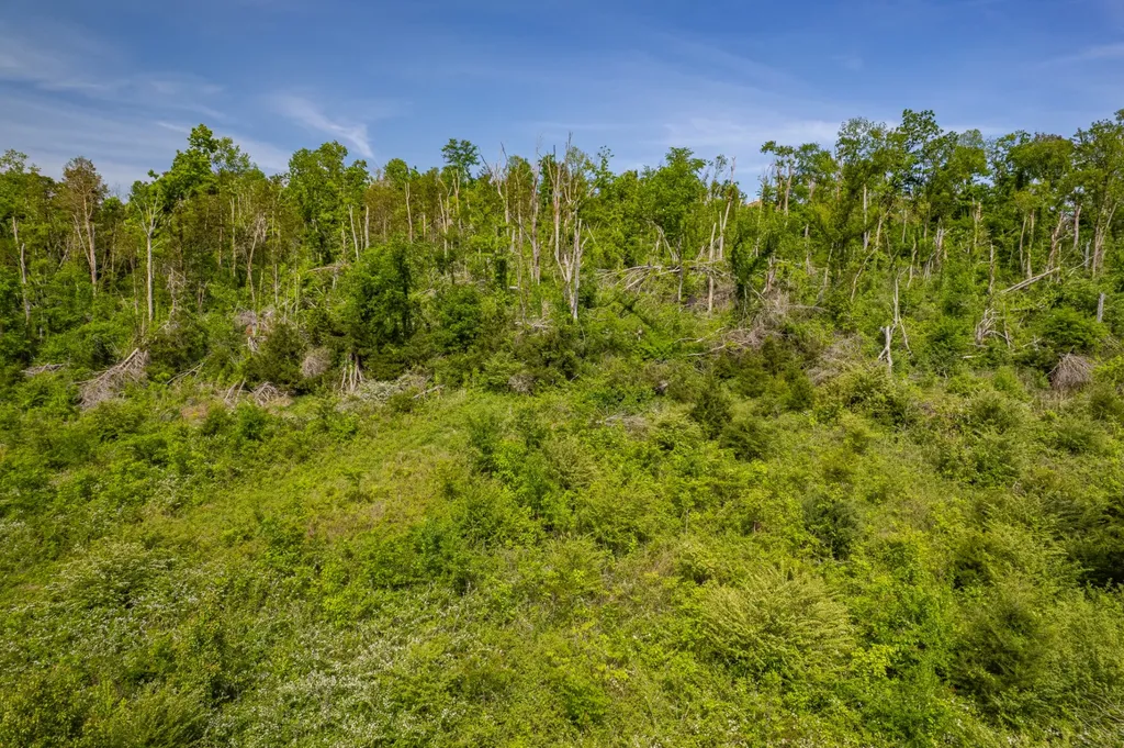 1 Old Highway 99 Columbia TN 38401