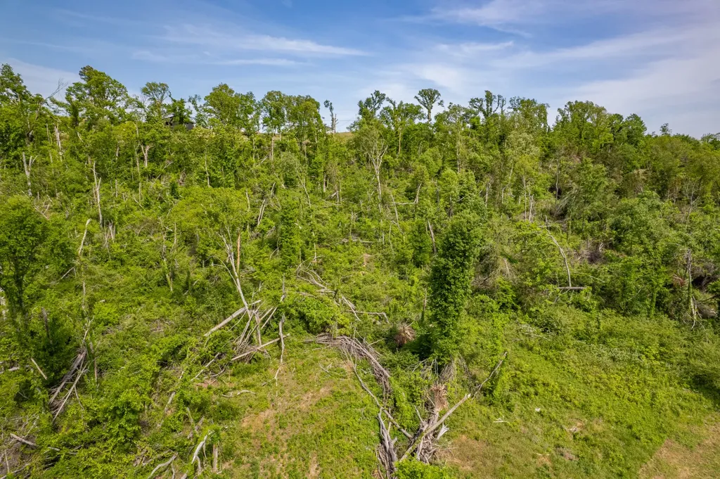 1 Old Highway 99 Columbia TN 38401