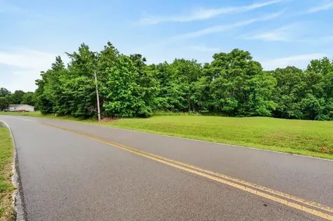 0 Reed Road Indian Mound TN 37079