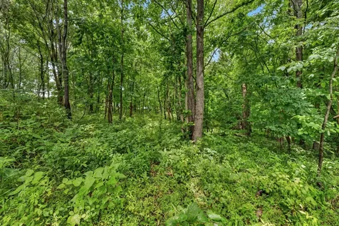 0 Reed Road Indian Mound TN 37079