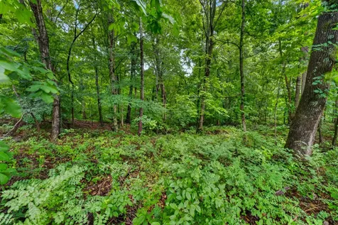 0 Reed Road Indian Mound TN 37079