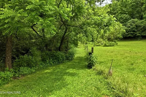 9613 Norris Freeway Powell TN 37849