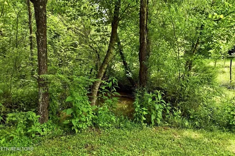 9613 Norris Freeway Powell TN 37849